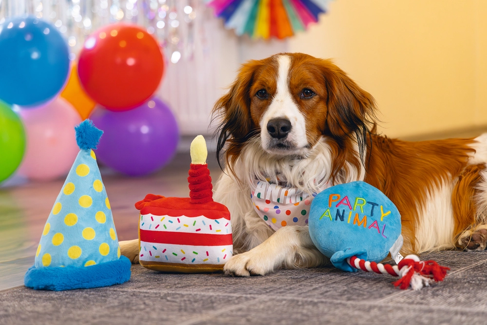 Beeztees Köpek Oyuncağı, Pasta Dilimi, Peluş, Renkli, 19x14x11cm - 5