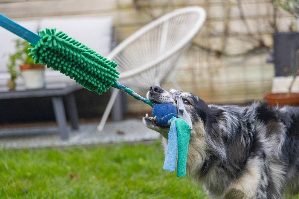 Beeztees Köpek Oyuncağı, Tut Getir Tenis Toplu, Peluş, Mavi-Yeşil, 90x10x6cm - 2