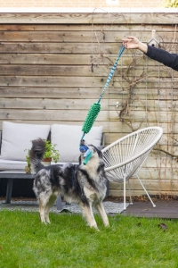 Beeztees Köpek Oyuncağı, Tut Getir Tenis Toplu, Peluş, Mavi-Yeşil, 90x10x6cm - 5