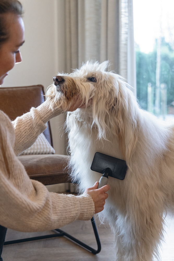 Beeztees Köpek Tarağı, Kolay Tarama, SM, Siyah Gri, 19cm, 19x12x4cm - 2