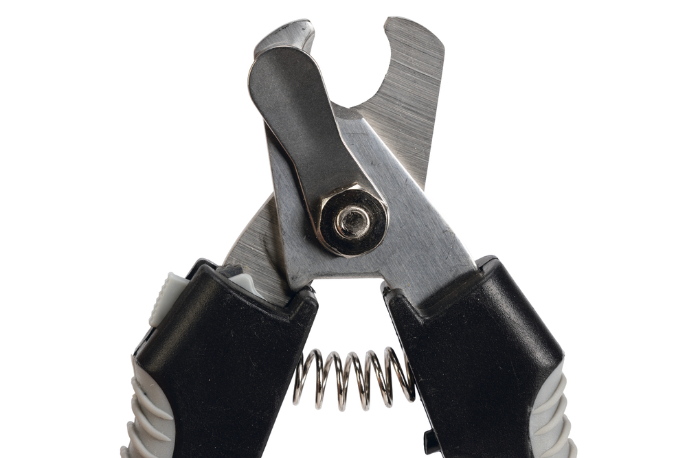 Beeztees Köpek Tırnak Makası, Siyah Gri, 16cm, 16x5x2cm - 2