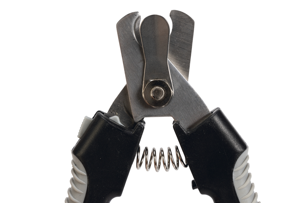 Beeztees Köpek Tırnak Makası, Siyah Gri, 16cm, 16x5x2cm - 3