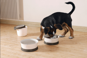 Beeztees Köpek ve Kedi Seyahat Su ve Mama Taşıma Çantası, 19x18cm, 1,5Lt - 2