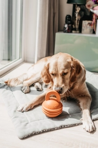 Beeztees Sumo Kettlebell (girya) Şeklinde Dental - 2