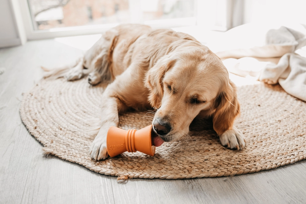 Beeztees Sumo Makara Şeklinde Dental Oyuncak 10x7 - 2