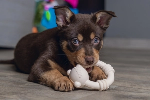 Beeztees Sumo Mını Dental Oyuncak Pembe 9,5x10,5 - 2