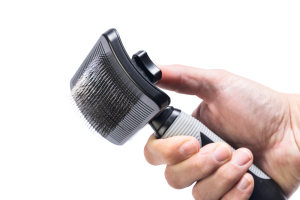 Beeztees Uzun Tüylü Köpek Tarağı, Bas-Çek Birikmiş Tüyleri Kolay Sıyırma, Siyah, 19x10,5x5cm