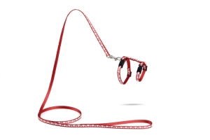 Beeztees Yavru Kedi Göğüs Tasması ve Gezdirme Kayışı 120cm, Kırmızı, 16-25cm Boyun, 23-36cm Göğüs