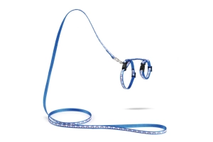 Beeztees Yavru Kedi Göğüs Tasması ve Gezdirme Kayışı 120cm, Mavi, 16-25cm Boyun, 23-36cm Göğüs