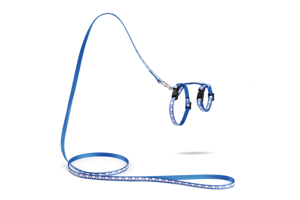 Beeztees Yavru Kedi Göğüs Tasması ve Gezdirme Kayışı 120cm, Mavi, 16-25cm Boyun, 23-36cm Göğüs - 1