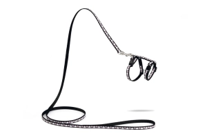 Beeztees Yavru Kedi Göğüs Tasması ve Gezdirme Kayışı 120cm, Siyah, 16-25cm Boyun, 23-36cm Göğüs