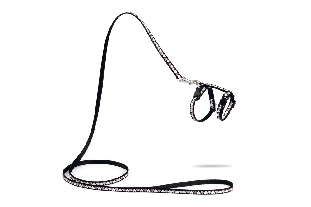 Beeztees Yavru Kedi Göğüs Tasması ve Gezdirme Kayışı 120cm, Siyah, 16-25cm Boyun, 23-36cm Göğüs - 1