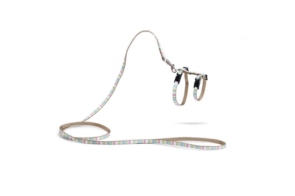 Beeztees Yavru Kedi Göğüs Tasması ve Gezdirme Kayışı, 120cm, Yeşil, 15-33cm - 1