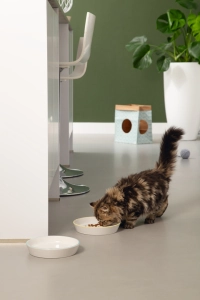 Beeztees Yavru Kedi Mama Su Kabı, Seramik, Gri Mint, 17,5cmx3,5cm - 3