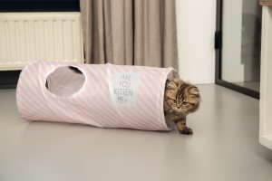 Beeztees Yavru Kedi Oyun Tüneli, 60x24x24cm - 3