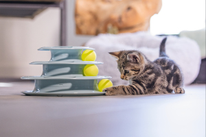 Beeztees Yavru Kedi Oyuncağı, 3 Katlı, 25x25x13cm - 5