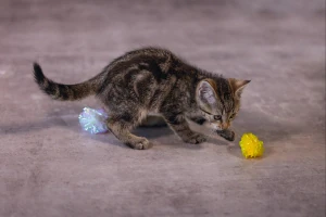 Beeztees Yavru Kedi Oyuncağı, hışırtılı Top, 5cm - 4