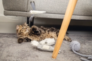 Beeztees Yavru Kedi Oyuncağı, Tavşan, Kumai-Sisal, Hışırtılı, 20x5x3cm - 2