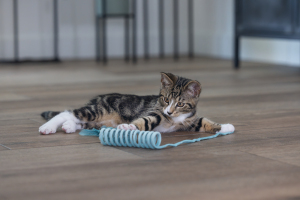 Beeztees Yavru Kedi Oyuncağı, Yay, Peluş, 60x4x4cm - 2