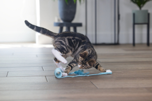 Beeztees Yavru Kedi Oyuncağı, Yay, Peluş, 60x4x4cm - 3