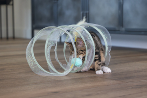 Beeztees Yavru Kedi Tüneli, Spiral Şeklinde, 60x25x25cm - 2