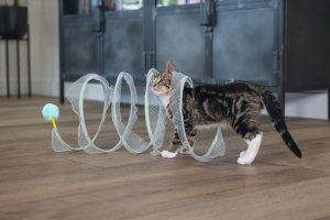 Beeztees Yavru Kedi Tüneli, Spiral Şeklinde, 60x25x25cm - 3