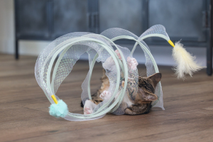 Beeztees Yavru Kedi Tüneli, Spiral Şeklinde, 60x25x25cm - 4