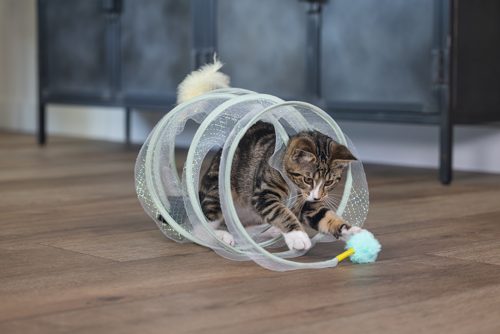 Beeztees Yavru Kedi Tüneli, Spiral Şeklinde, 60x25x25cm - 5