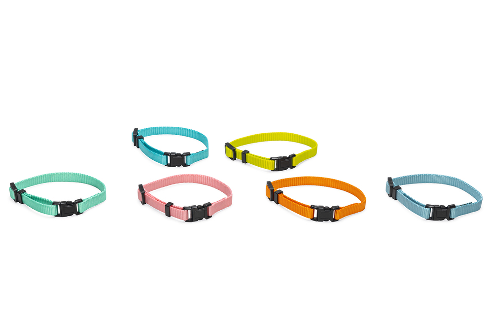 Beeztees Yavru Köpek Boyun Tasması, Çeşitli Renklerde, 17-25cm, 10mm - 1