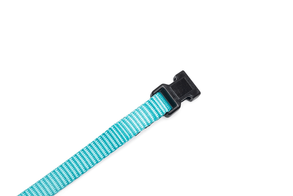 Beeztees Yavru Köpek Boyun Tasması, Çeşitli Renklerde, 17-25cm, 10mm - 4