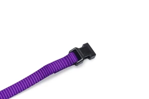 Beeztees Yavru Köpek Boyun Tasması, Çeşitli Renklerde, 22-35cm, 10mm - 2