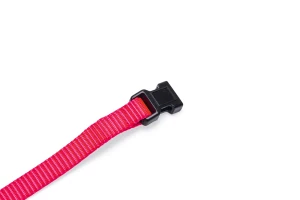 Beeztees Yavru Köpek Boyun Tasması, Çeşitli Renklerde, 22-35cm, 10mm - 3