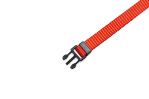 Beeztees Yavru Köpek Boyun Tasması, Çeşitli Renklerde, 22-35cm, 10mm - 5