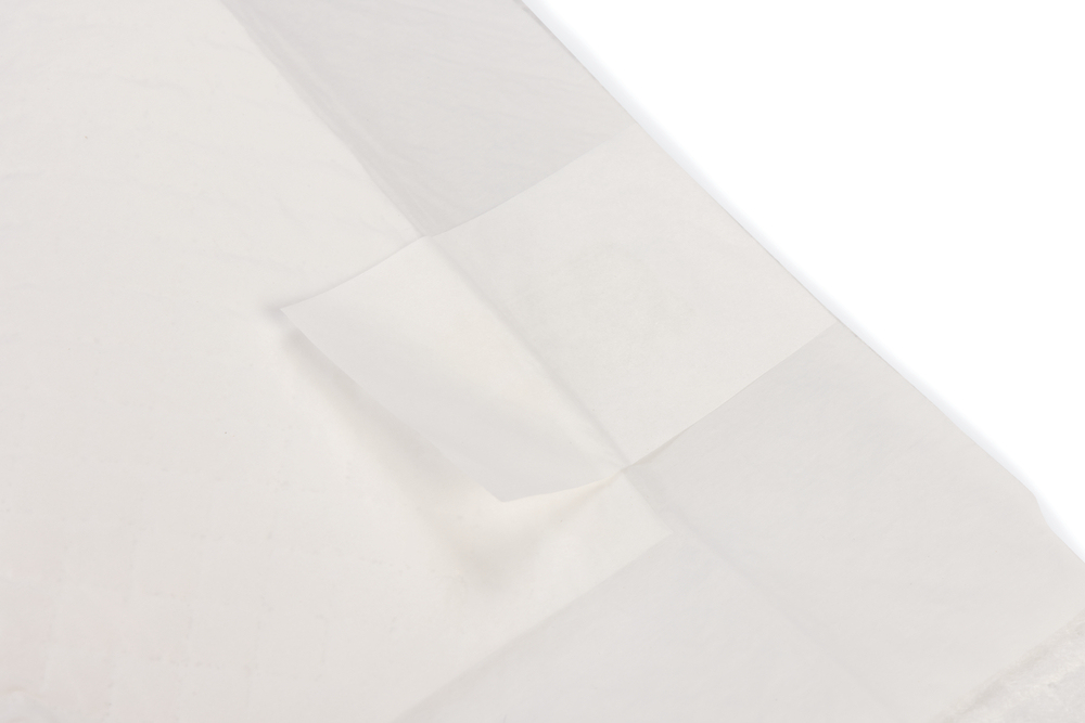 Beeztees Yavru Köpek Çiş Eğitim Pedi, S, 20Adet, 60x40cm - 3