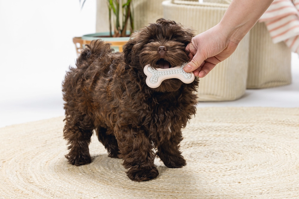 Beeztees Yavru Köpek Diş Oyuncağı, İçi Dolu Halka, Kauçuk, Pembe, 10cm - 2