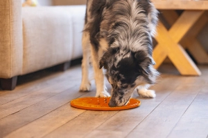 Beeztees Yavru Köpek Mama Yeme Oyuncağı, Daire Şeklinde, Silikon, Turuncu, 30cm - 3