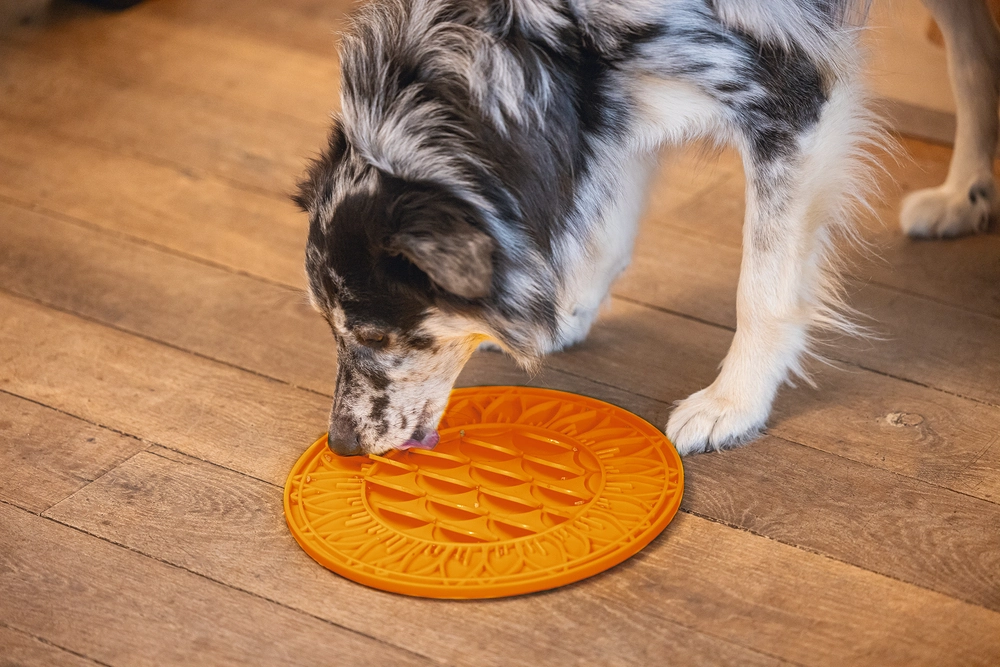 Beeztees Yavru Köpek Mama Yeme Oyuncağı, Daire Şeklinde, Silikon, Turuncu, 30cm - 5