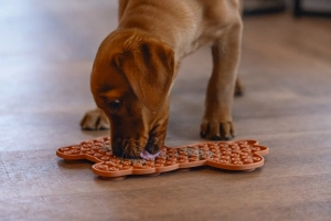 Beeztees Yavru Köpek Mama Yeme Oyuncağı, Lama Şeklinde, Silikon, Kahverengi, 25x22cm - 3