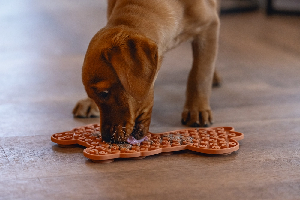 Beeztees Yavru Köpek Mama Yeme Oyuncağı, Lama Şeklinde, Silikon, Kahverengi, 25x22cm - 3