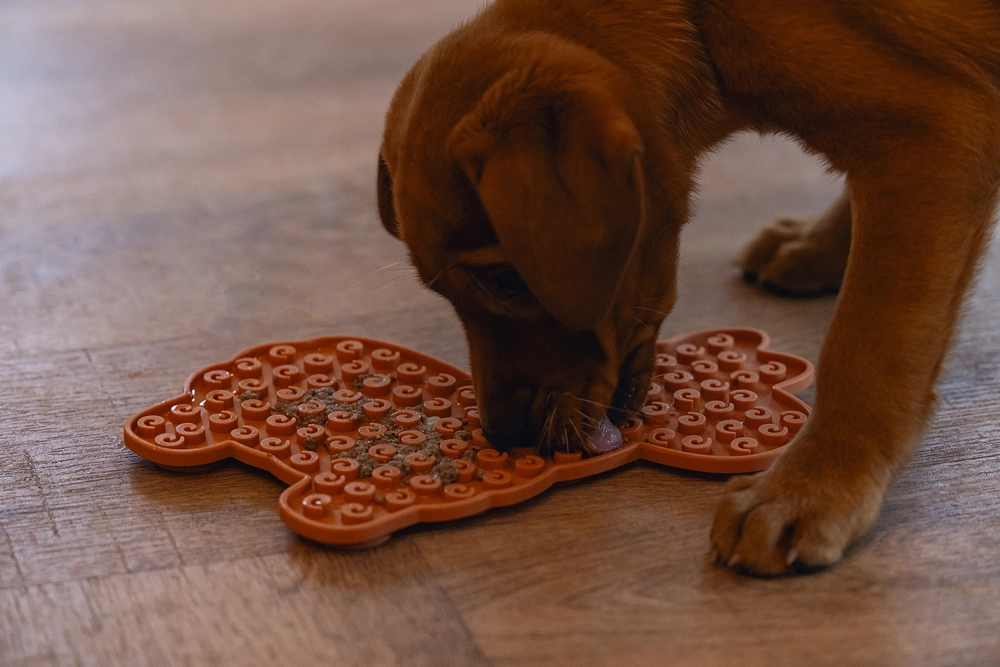 Beeztees Yavru Köpek Mama Yeme Oyuncağı, Lama Şeklinde, Silikon, Kahverengi, 25x22cm - 5