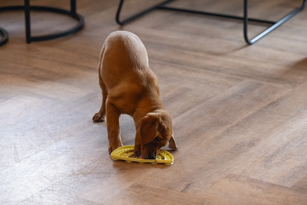 Beeztees Yavru Köpek Mama Yeme Oyuncağı, Yarım Daire, Silikon, Sarı, 20x10cm - 2