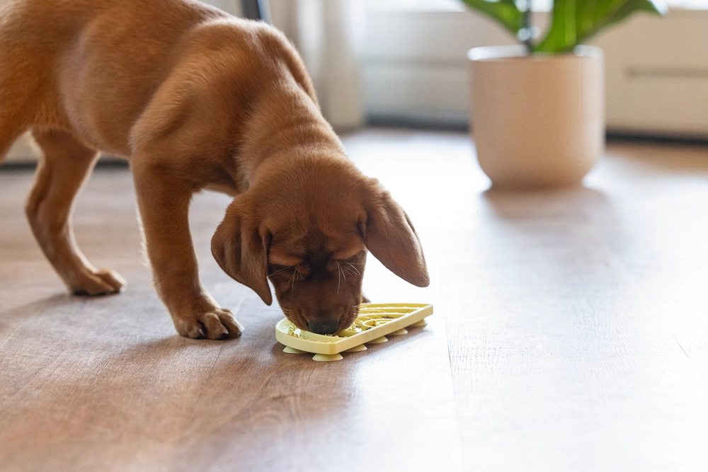 Beeztees Yavru Köpek Mama Yeme Oyuncağı, Yarım Daire, Silikon, Sarı, 20x10cm - 3