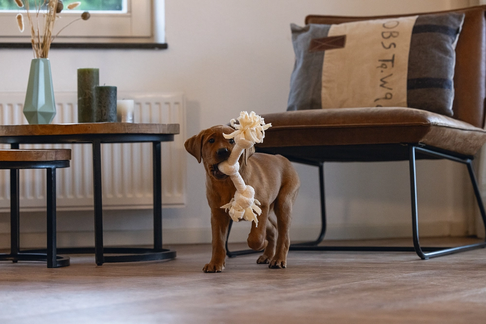 Beeztees Yavru Köpek Oyuncağı, Çift Düğümlü Diş İpi, Peluş, Pembe, 30x6x4,5cm - 3