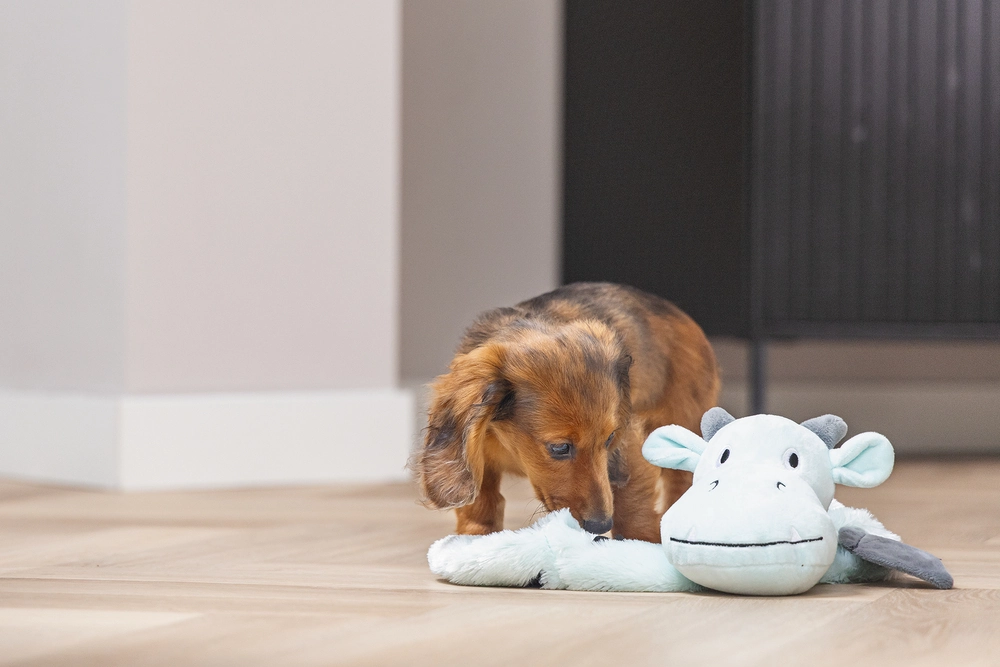 Beeztees Yavru Köpek Oyuncağı, Dragon, Peluş, Gri, 45x24,5x6cm - 3