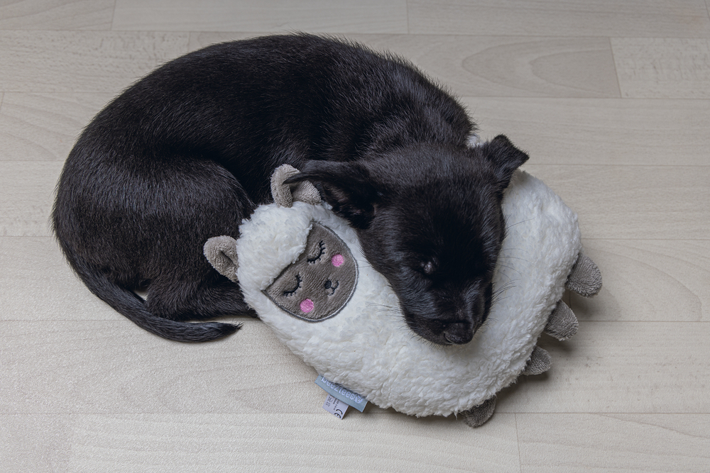 Beeztees Yavru Köpek Oyuncağı, Kalp Atışlı, Lama, Peluş, Beyaz, 26x20x7,5cm - 2