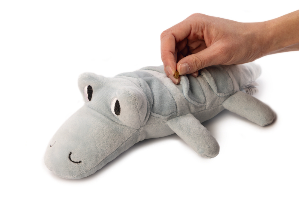 Beeztees Yavru Köpek Oyuncağı, Krokodil, Peluş, Yeşil, 32x18x8cm - 2