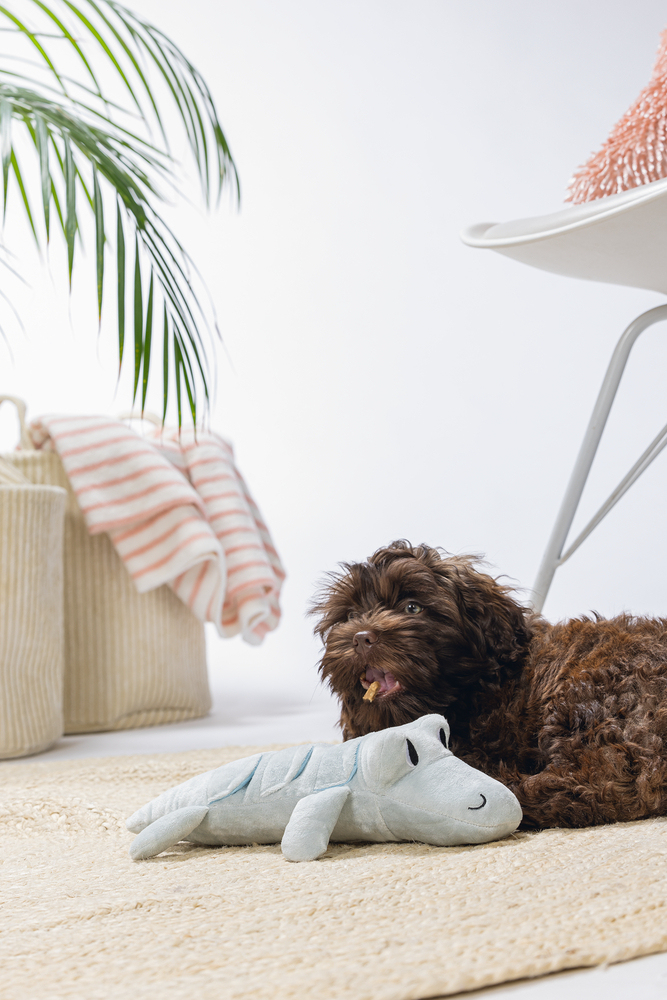 Beeztees Yavru Köpek Oyuncağı, Krokodil, Peluş, Yeşil, 32x18x8cm - 3