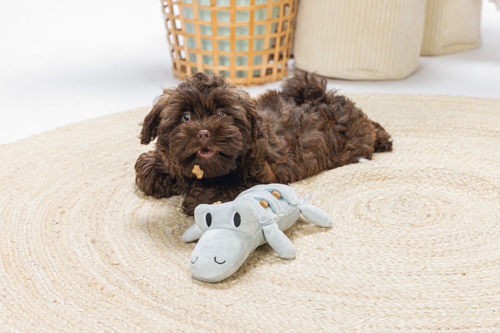 Beeztees Yavru Köpek Oyuncağı, Krokodil, Peluş, Yeşil, 32x18x8cm - 4