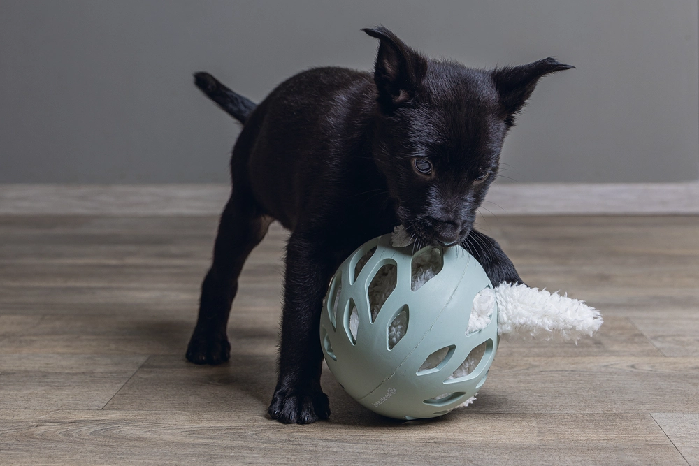 Beeztees Yavru Köpek Oyuncağı, Peluş, Beyaz, 40x22x5cm - 3