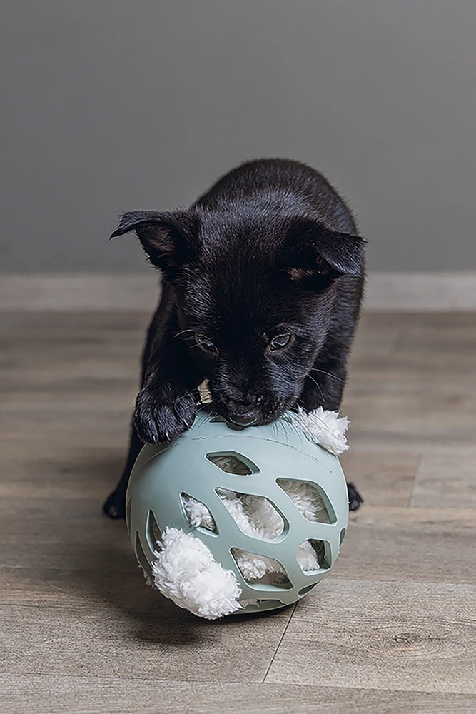 Beeztees Yavru Köpek Oyuncağı, Peluş, Beyaz, 40x22x5cm - 4